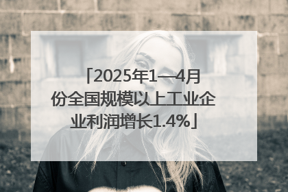 2025年1—4月份全国规模以上工业企业利润增长1.4%