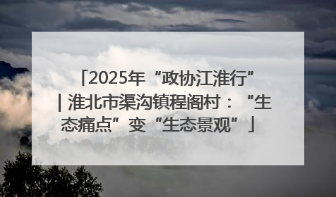 2025年“政协江淮行”｜淮北市渠沟镇程阁村：“生态痛点”变“生态景观”