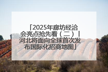 2025年廊坊经洽会亮点抢先看（二）丨河北将面向全球首次发布国际化招商地图