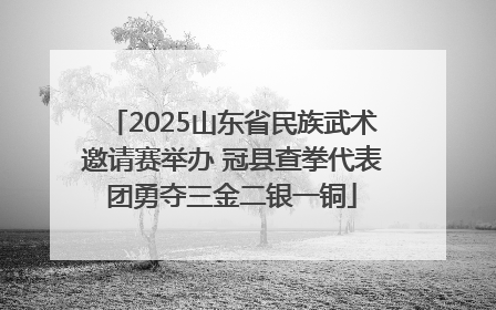 2025山东省民族武术邀请赛举办 冠县查拳代表团勇夺三金二银一铜