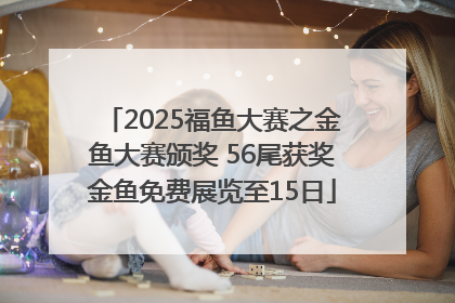 2025福鱼大赛之金鱼大赛颁奖 56尾获奖金鱼免费展览至15日