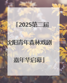 2025第二届沈阳青年森林戏剧嘉年华启幕