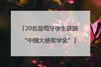 20名葡萄牙学生获颁“中国大使奖学金”