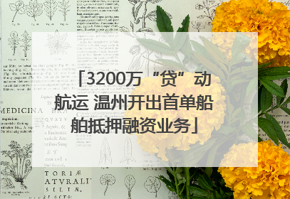 3200万“贷”动航运 温州开出首单船舶抵押融资业务