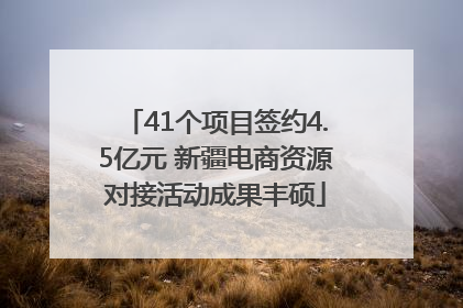 41个项目签约4.5亿元 新疆电商资源对接活动成果丰硕