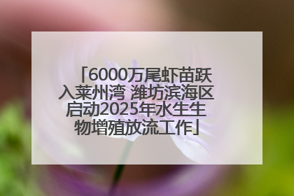 6000万尾虾苗跃入莱州湾 潍坊滨海区启动2025年水生生物增殖放流工作