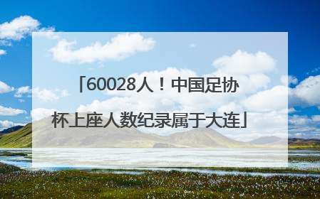 60028人！中国足协杯上座人数纪录属于大连