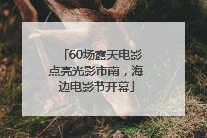 60场露天电影点亮光影市南，海边电影节开幕