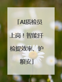 AI质检员上岗！智能扦检提效率、护粮安