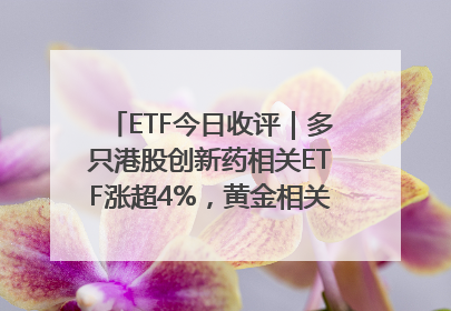 ETF今日收评｜多只港股创新药相关ETF涨超4%，黄金相关ETF跌逾1%