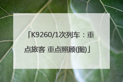 K9260/1次列车：重点旅客 重点照顾(图)