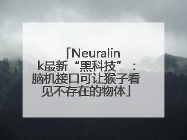 Neuralink最新“黑科技”：脑机接口可让猴子看见不存在的物体