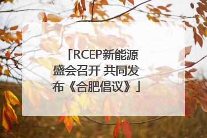 RCEP新能源盛会召开 共同发布《合肥倡议》